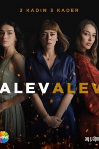 Яркое пламя / Alev Alev (1-28 серия, 2020) турецкий сериал на русском языке смотреть все серии онлайн бесплатно